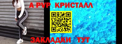 шишки Обь