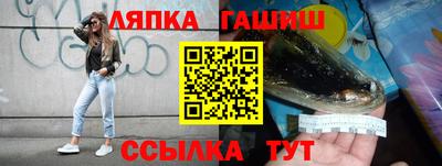 шишки Обь