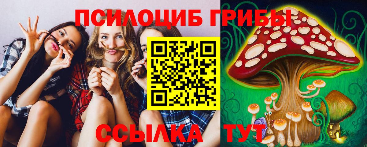 Северобайкальск  Псилоцибиновые грибы MAGIC MUSHROOMS  Псилоцибиновые грибы ЛСД  Вход с VPN 