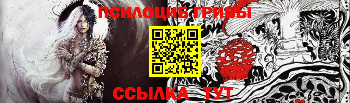 Галлюциногенные грибы Psilocybine cubensis Северобайкальск
